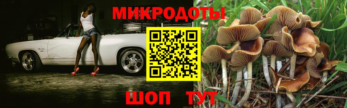 Галлюциногенные грибы Magic Shrooms Гулькевичи